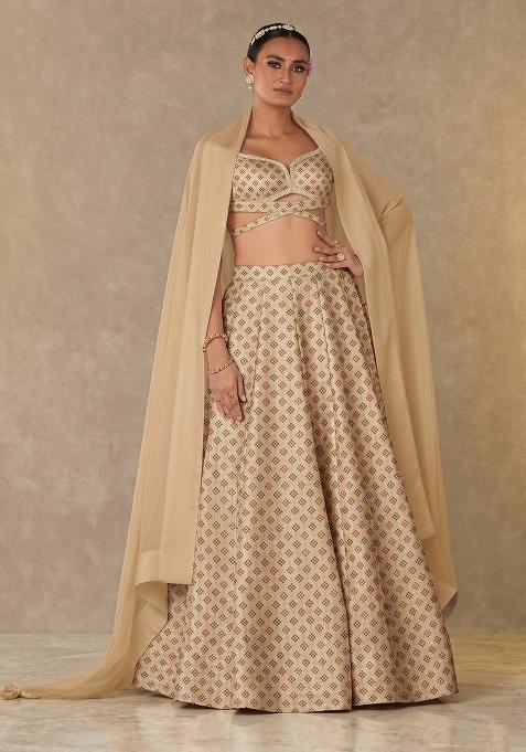 Champagne Beige Zari Silk Lehenga Set