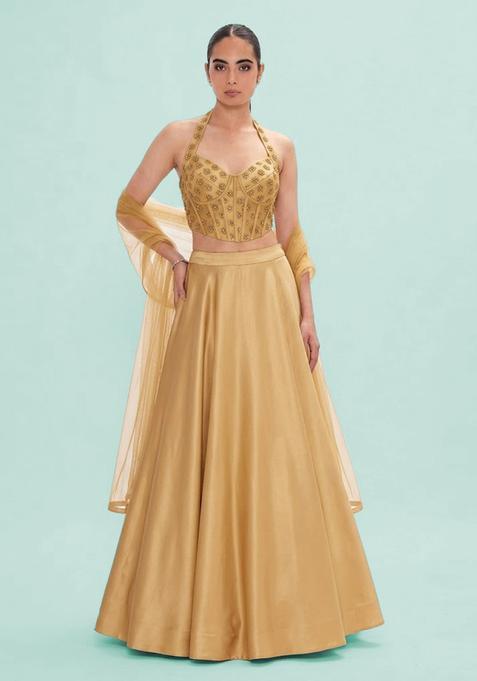 Golden Embroidered Georgette Lehenga Set
