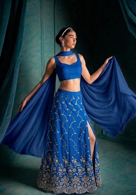 Royal Blue Embroidered Cosmos Lehenga Set