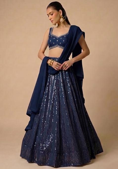 Navy Blue Handwork Lehenga Set