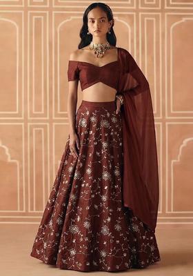 Brown Embroidered Silk Lehenga Set