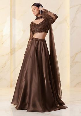 Chocolate Brown Embroidered Handwork Lehenga Set