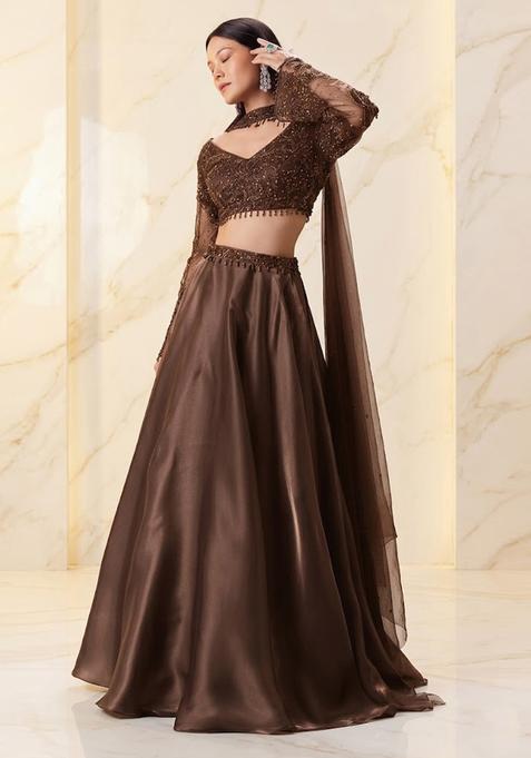 Chocolate Brown Embroidered Handwork Lehenga Set