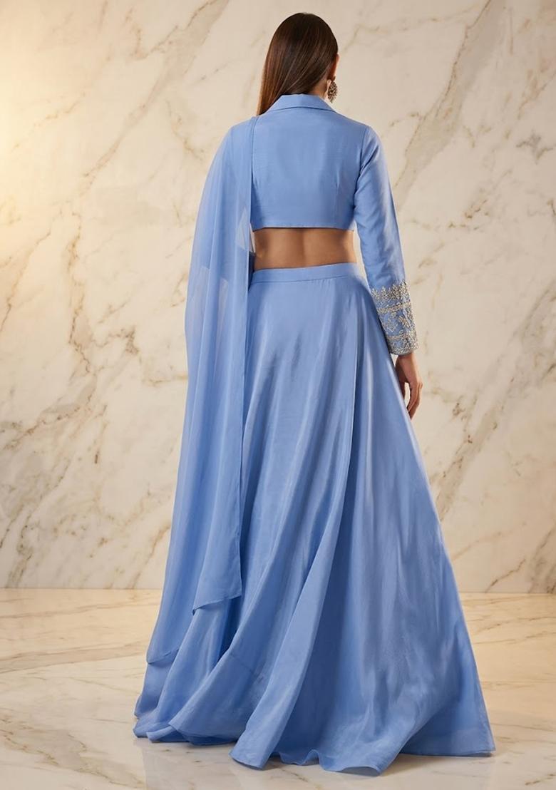 Powder Blue Embroidered Handwork Lehenga Set - Indya