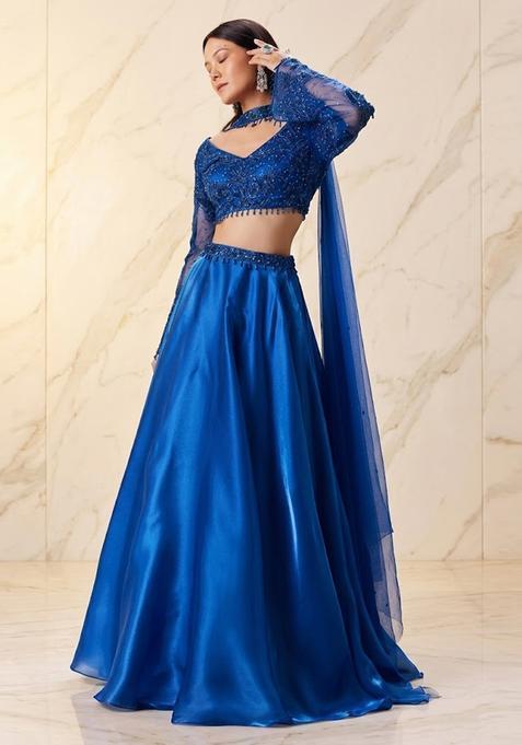 Royal Blue Embroidered Handwork Lehenga Set