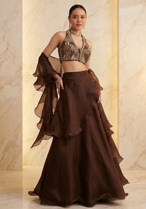 Deep Brown Embroidered Handwork Lehenga Set