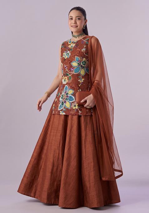 Brown Embroidered Lehenga Set
