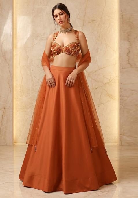Rust Embroidered Handwork Lehenga Set