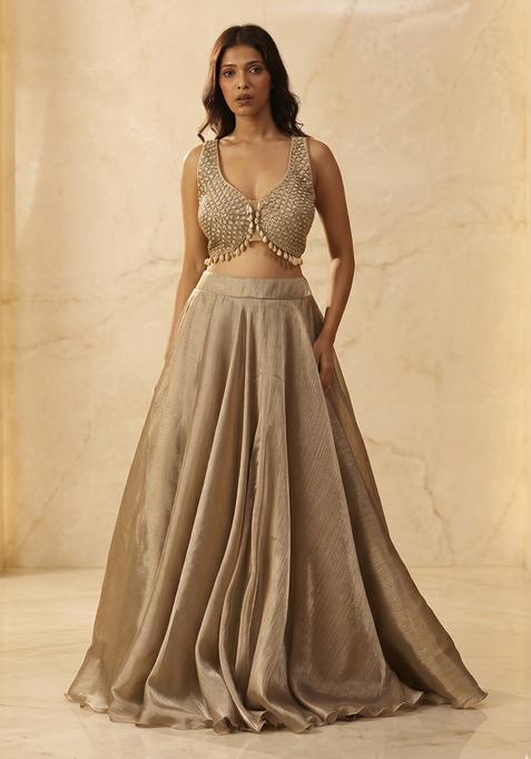 Light Beige Embroidered Handwork Lehenga Set