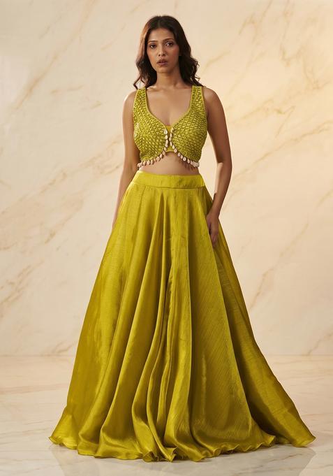 Light Green Embroidered Handwork Lehenga Set