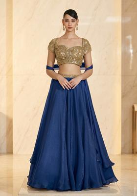 Navy Blue Embroidered Handwork Lehenga Set