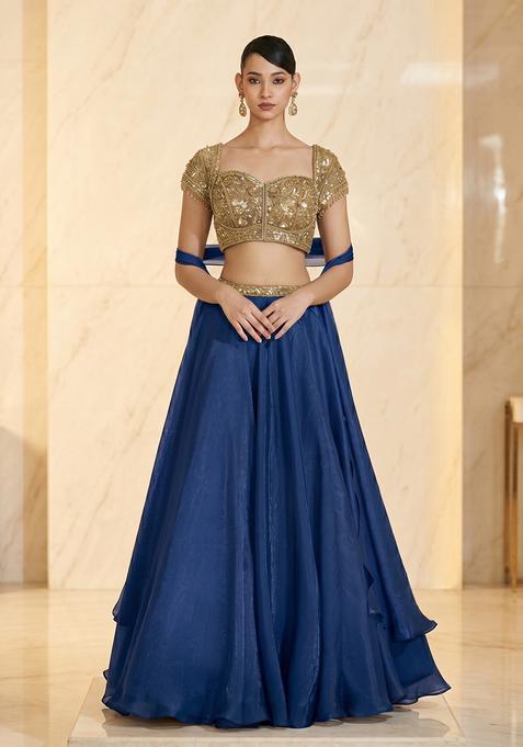 Navy Blue Embroidered Handwork Lehenga Set
