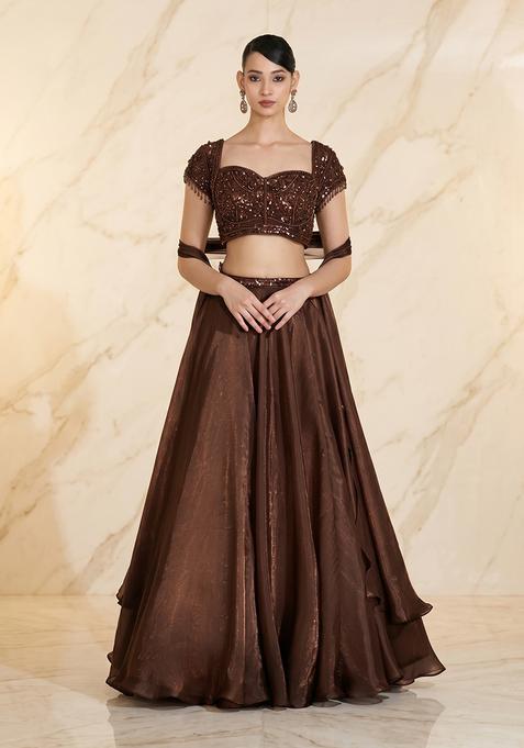 Brown Embroidered Handwork Lehenga Set