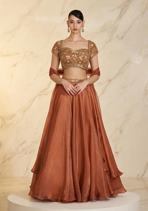 Rust Embroidered Handwork Lehenga Set