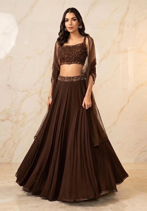 Dark Brown Embroidered Handwork Lehenga Set