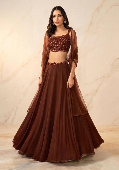 Brown Embroidered Handwork Lehenga Set