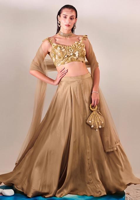 Beige Embroidered Handwork Lehenga Set