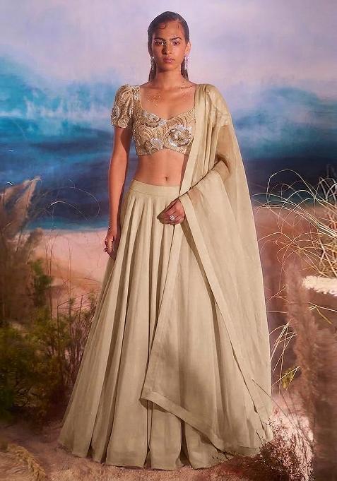 Beige Embroidered Net Lehenga Set