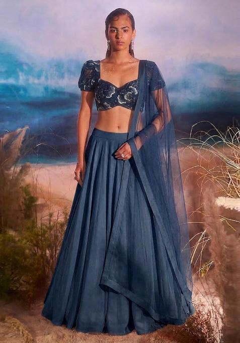 Dark Blue Embroidered Net Lehenga Set