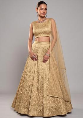 Gold Plated Organza Lehenga Set