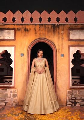 Beige Sequin Cosmos Lehenga Set