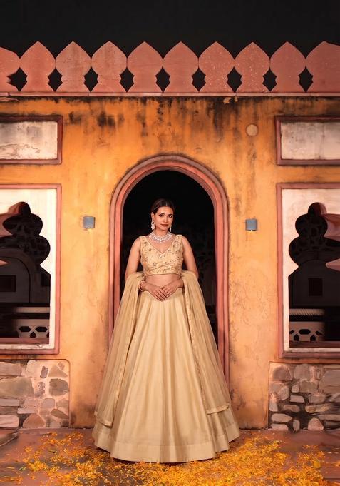 Beige Sequin Cosmos Lehenga Set