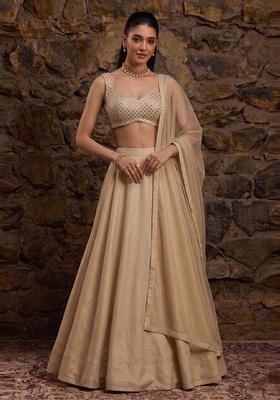 Beige Mirror Work Lehenga Set
