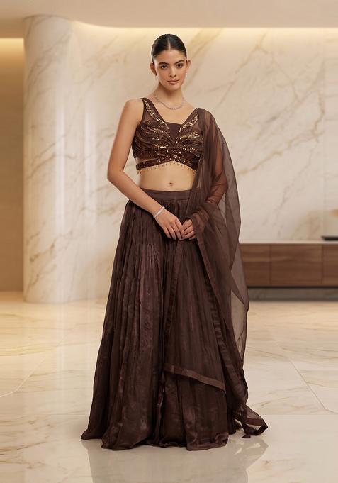 Dark Brown Handwork Lehenga Set