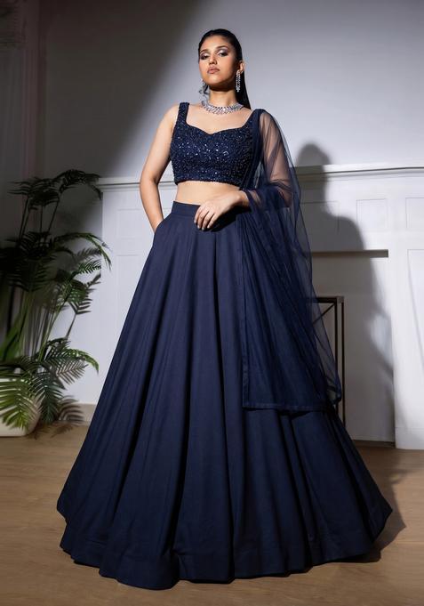 Navy Blue Embroidered Net Lehenga Set