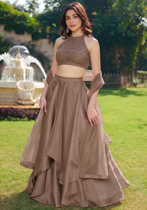Brown Embroidered Chanderi Lehenga Set