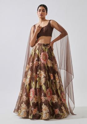 Brown Embroidered Organza Lehenga Set
