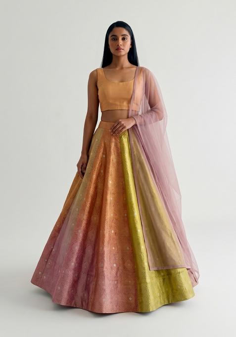 Multicolor Embroidered Tissue Lehenga Set