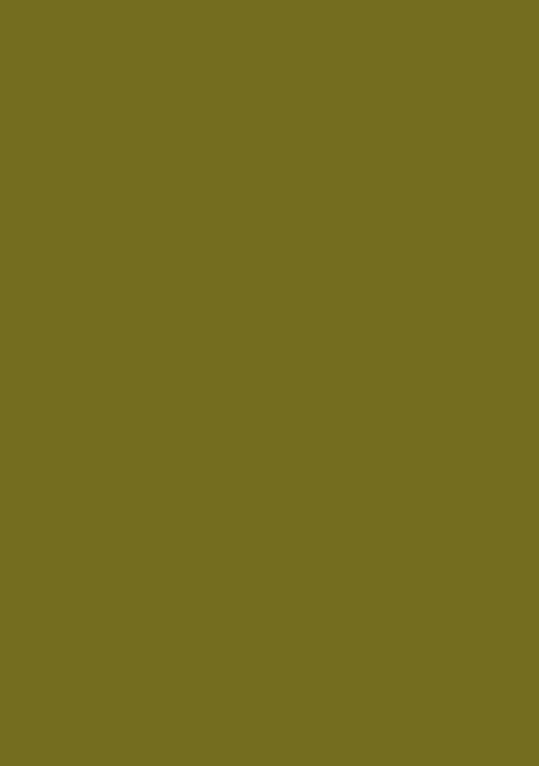 Olive Green Embroidered Crepe Lehenga Set - Indya