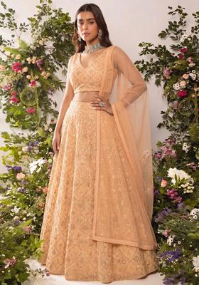 Camel Mirror Sequin Georgette Lehenga Set