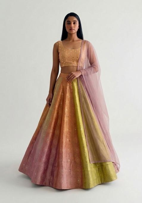 Multi Embroidered Handwork Lehenga Set