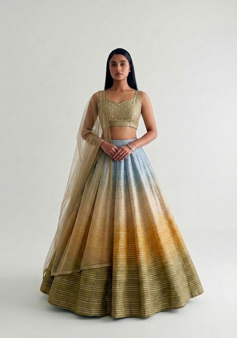 Multi Embroidered Handwork Lehenga Set