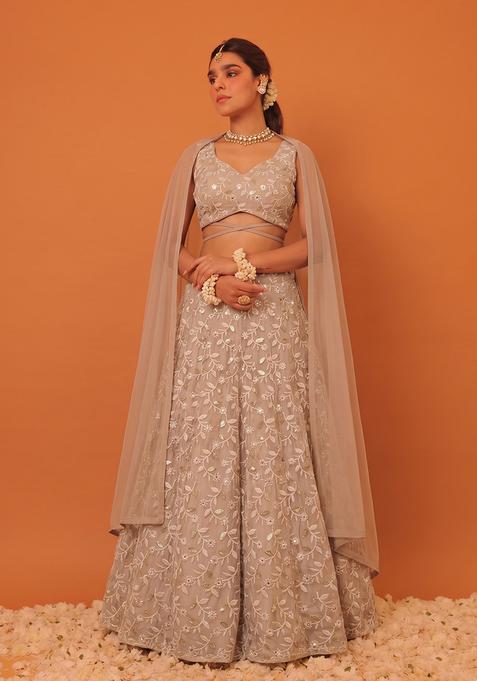 Nude Embroidered Net Lehenga Set