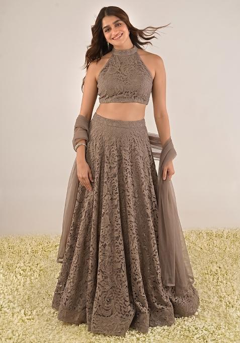 Taupe Net Embroidered Lehenga Set
