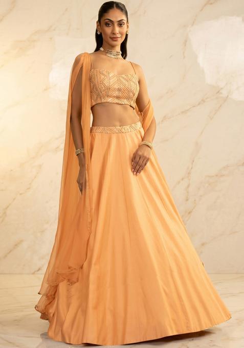 Light Orange Embroidered Handwork Lehenga Set