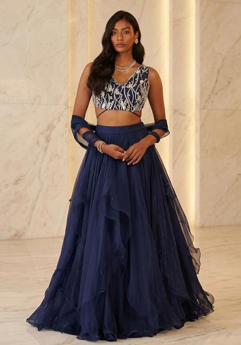 Navy Blue Handwork Lehenga Set