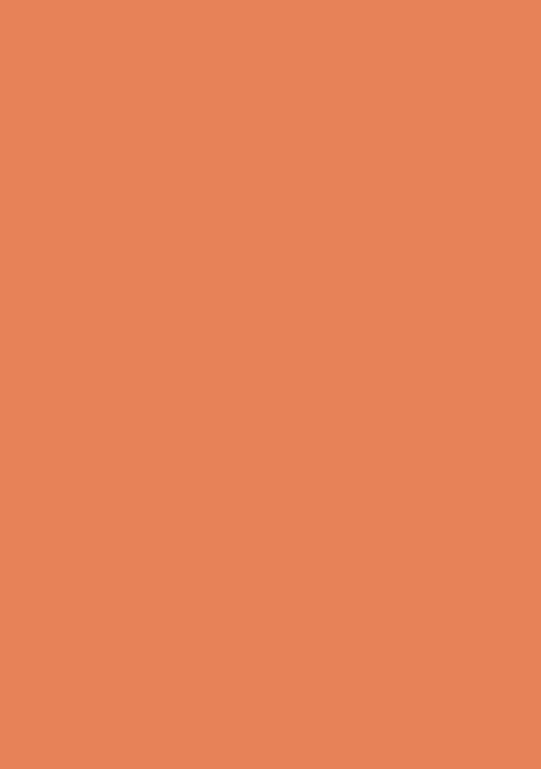 Burnt Orange Handwork Lehenga Set - Indya