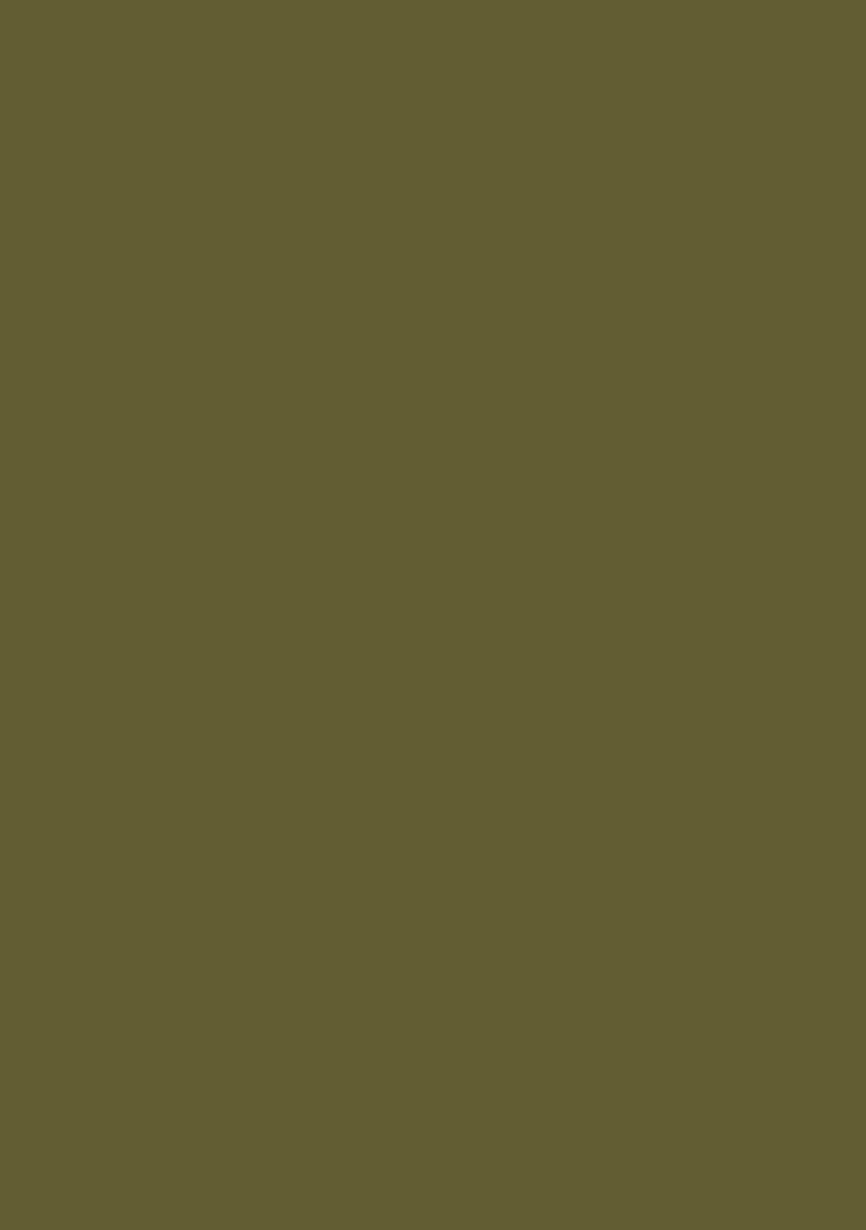 Olive Handwork Lehenga Set - Indya