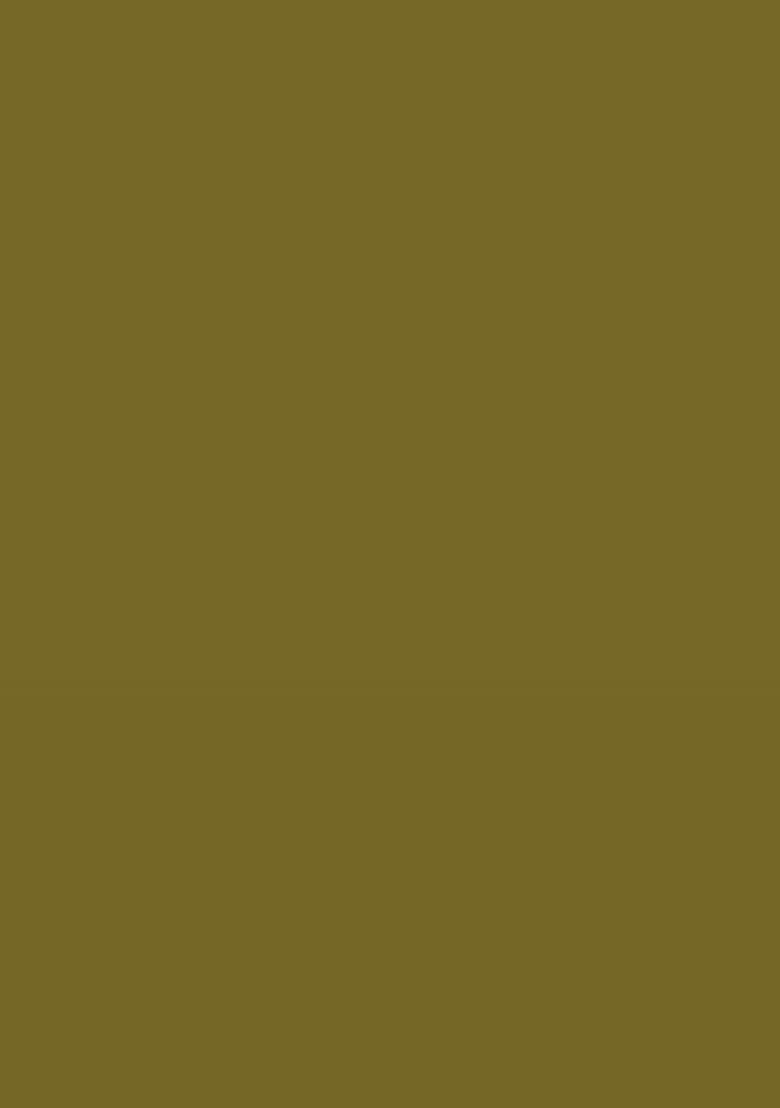 Olive Embroidered Lehenga Set - Indya