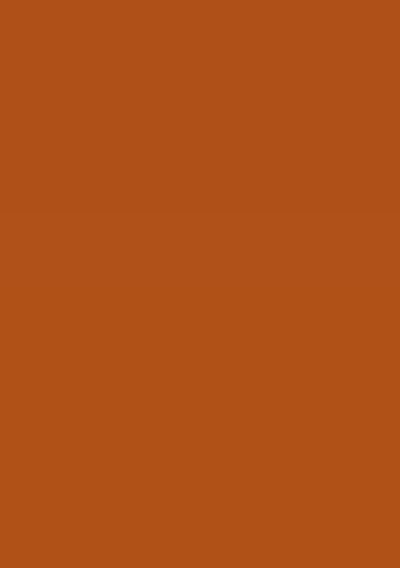 Rust Orange Mirror Work Lehenga Set - Indya