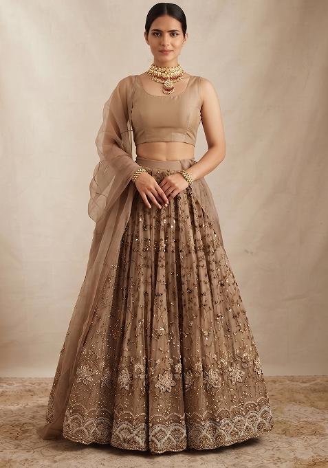 Brown Zari Tissue Lehenga Set