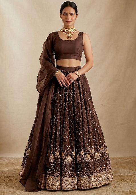 Chocolate Brown Zari Tissue Lehenga Set