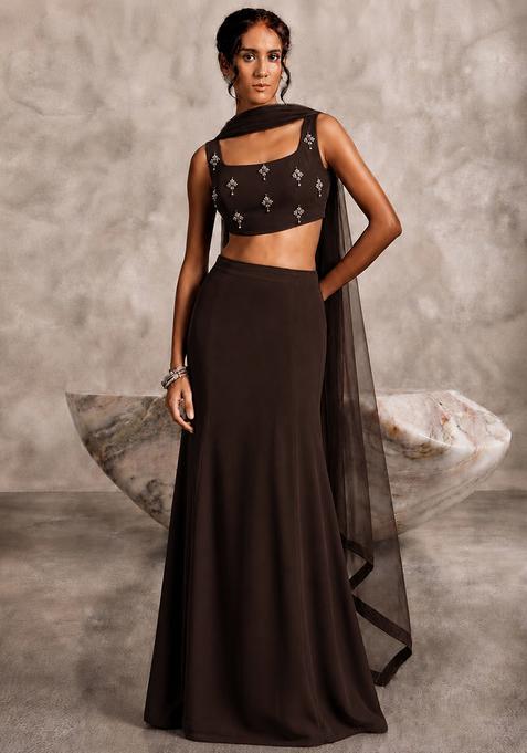 Chocolate Brown Embellished Lehenga Set