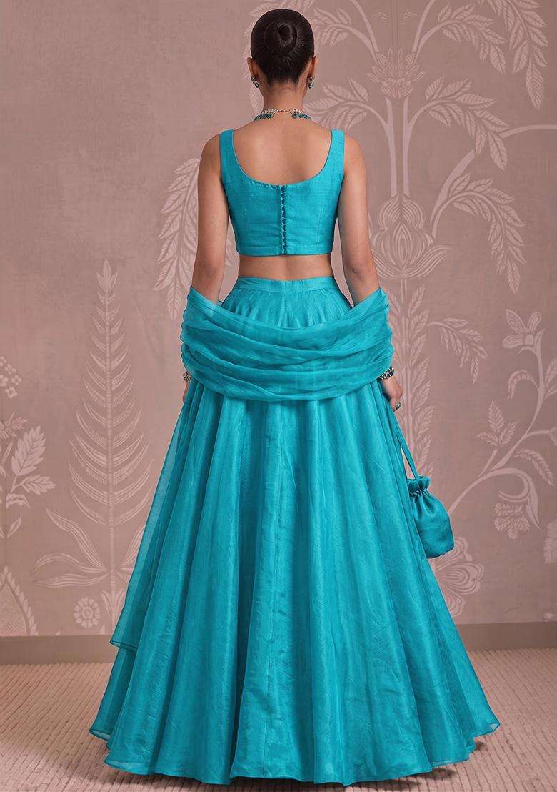 Sky Blue Handwork Lehenga Set - Indya