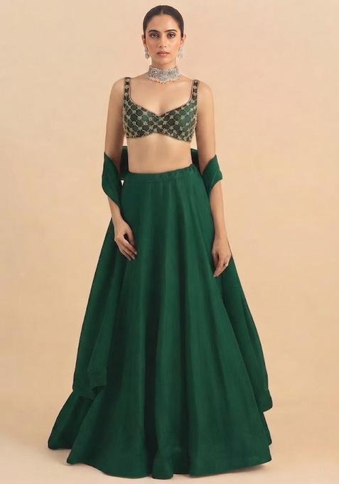 Brown Handwork Lehenga Set
