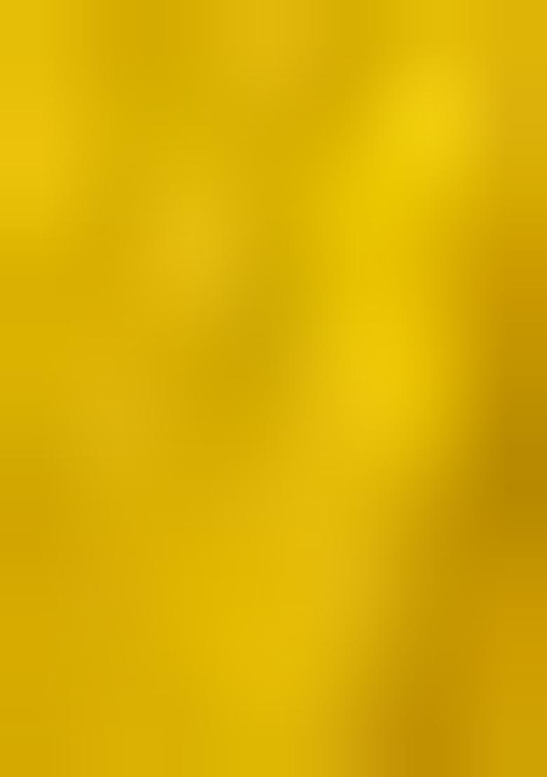 Yellow Printed Organza Lehenga Set - Indya